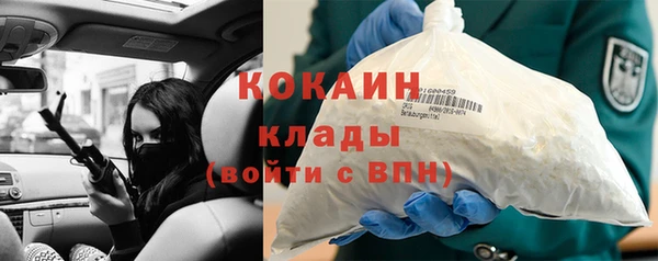 прущие грибы Алагир