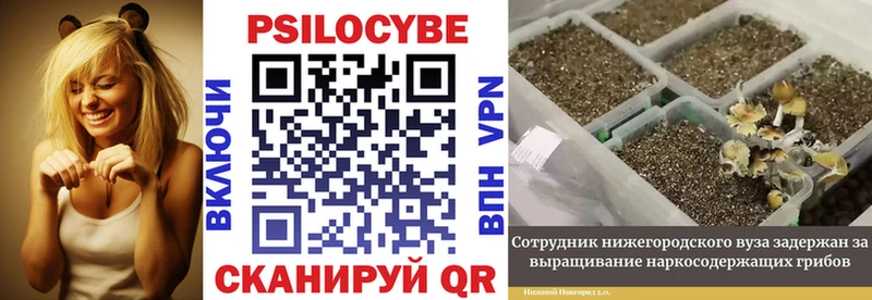 купить наркоту  Безенчук  Галлюциногенные грибы мицелий 